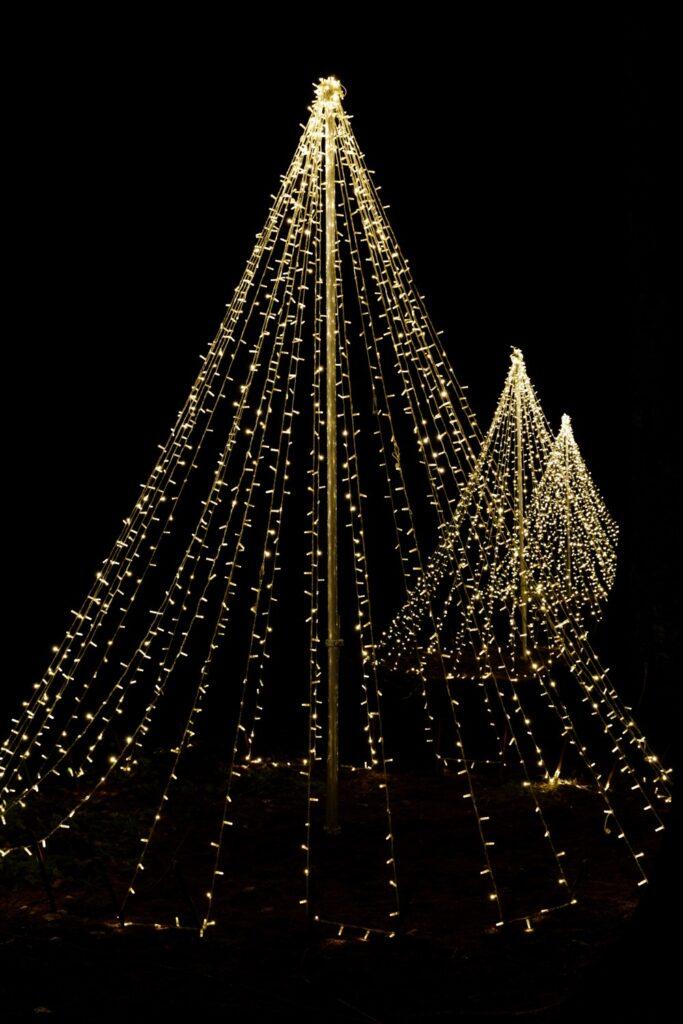 Beecraigs Festive Forest 2022