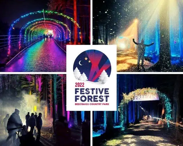 Beecraigs Festive Forest 2022