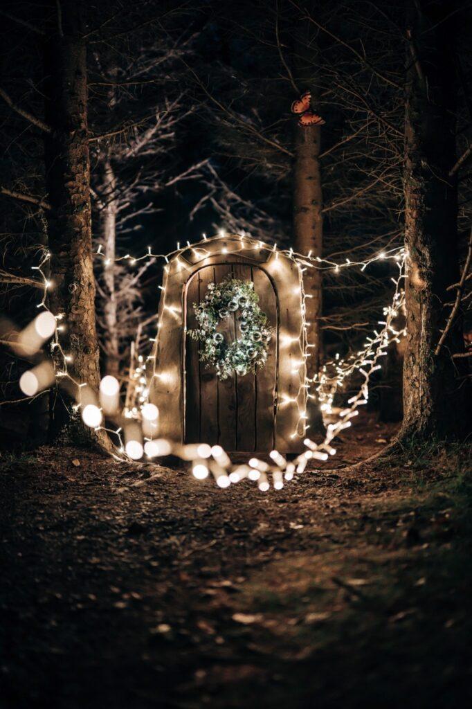 Magical Winter Nights 2022