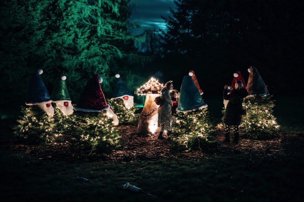 Magical Winter Nights 2022