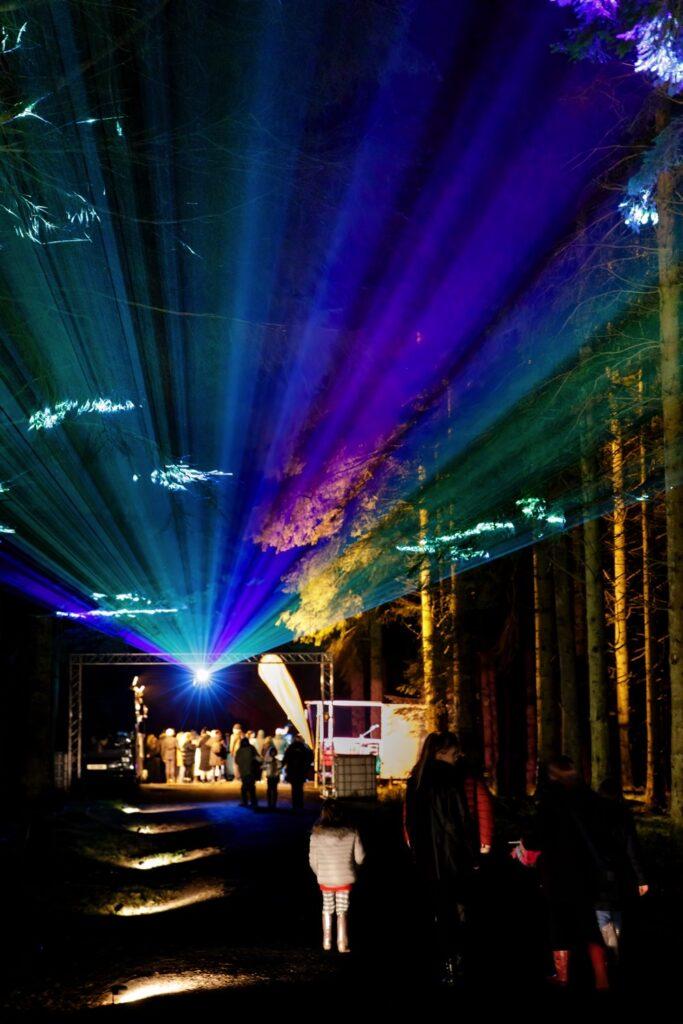 Beecraigs Festive Forest 2022
