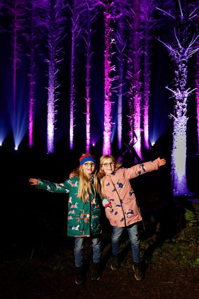 Beecraigs Festive Forest 2022